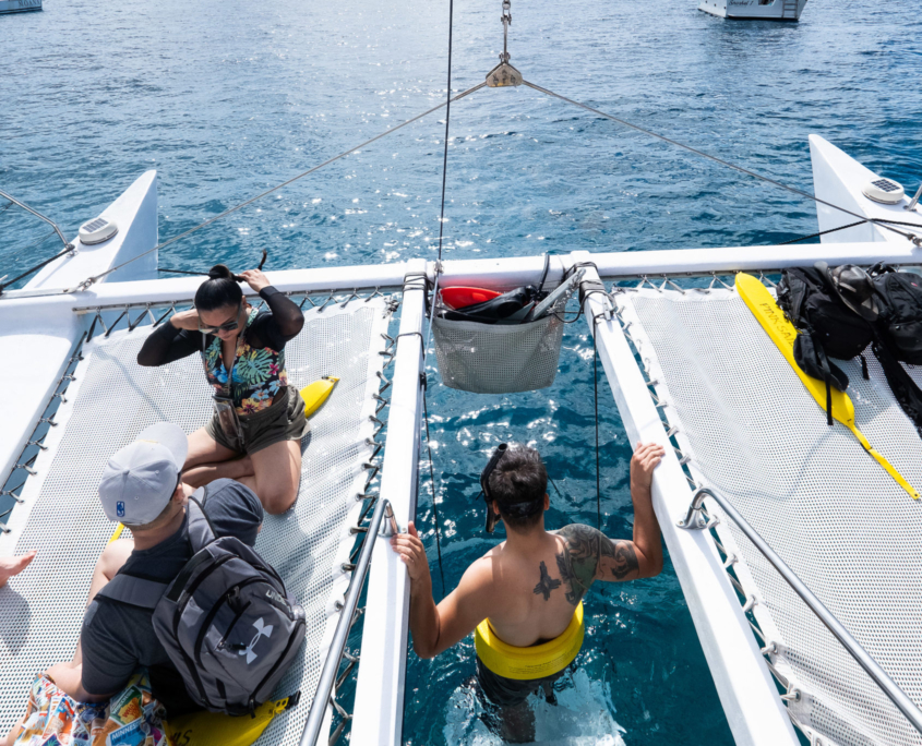 Group preparing to snorkel in the water